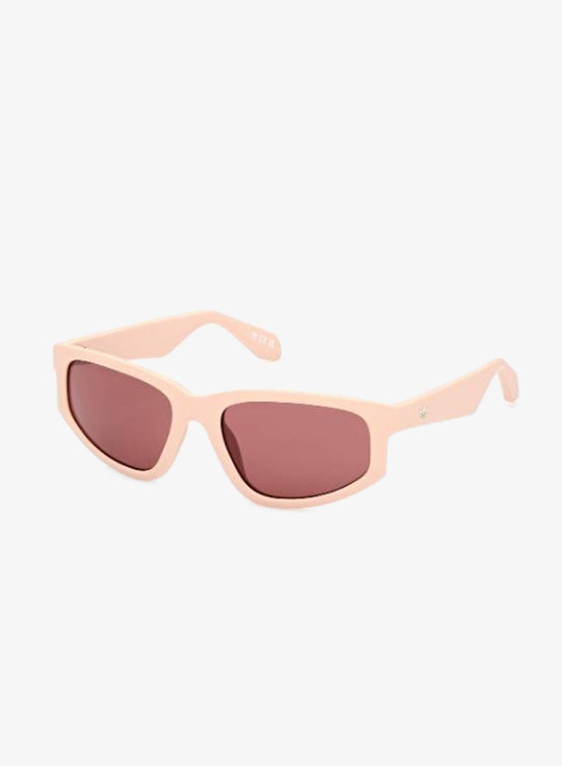 Adidas Wayfarers Sunglasses - Image 1