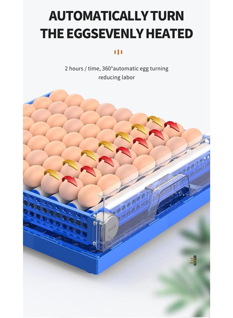 نيو كلاسيك حاضنة بيض أوتوماتيكية مزدوجة الطاقة لسعة 64 بيضة - أزرق 002 - Image 2