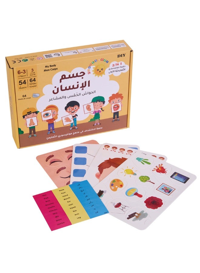 مجموعة من الألعاب التي تعلم أنظمة الجسم باللغة العربية للأطفال / الخيار الأول من الأدوات التعليمية للأطفال 3-6 سنوات / يجمع بين التعرف على الأجزاء الخارجية والتفاعل العقلي / مساعد ممتاز للتعليم المبكر باللغة العربية - Image 1