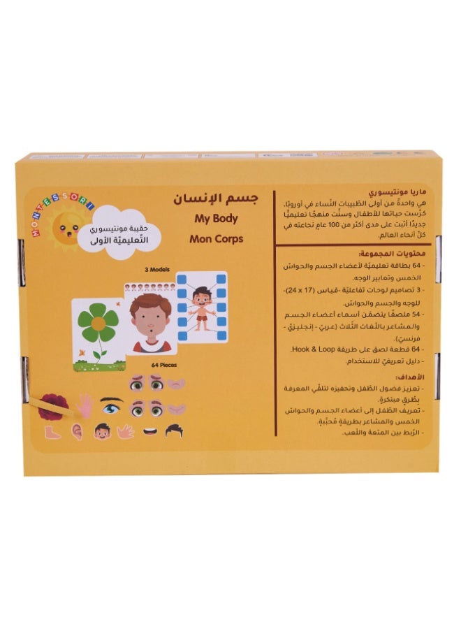 مجموعة من الألعاب التي تعلم أنظمة الجسم باللغة العربية للأطفال / الخيار الأول من الأدوات التعليمية للأطفال 3-6 سنوات / يجمع بين التعرف على الأجزاء الخارجية والتفاعل العقلي / مساعد ممتاز للتعليم المبكر باللغة العربية - Image 3