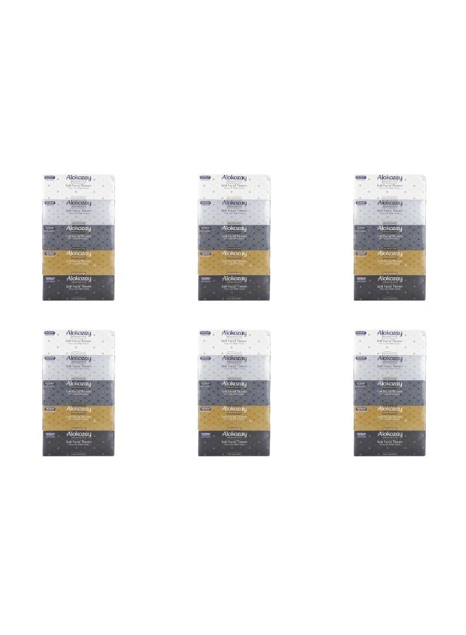 Alokozay 2 PLY Bulk 5 Box Soft Facial White Tissues 170 Sheets- 6 Pack - Image 2