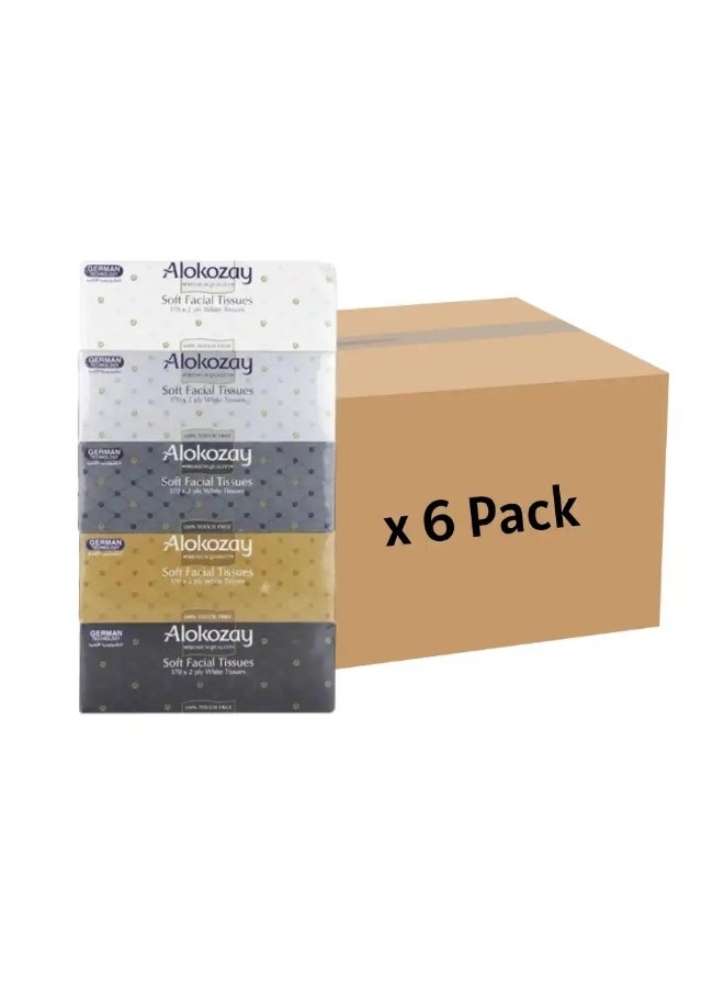 Alokozay 2 PLY Bulk 5 Box Soft Facial White Tissues 170 Sheets- 6 Pack - Image 1