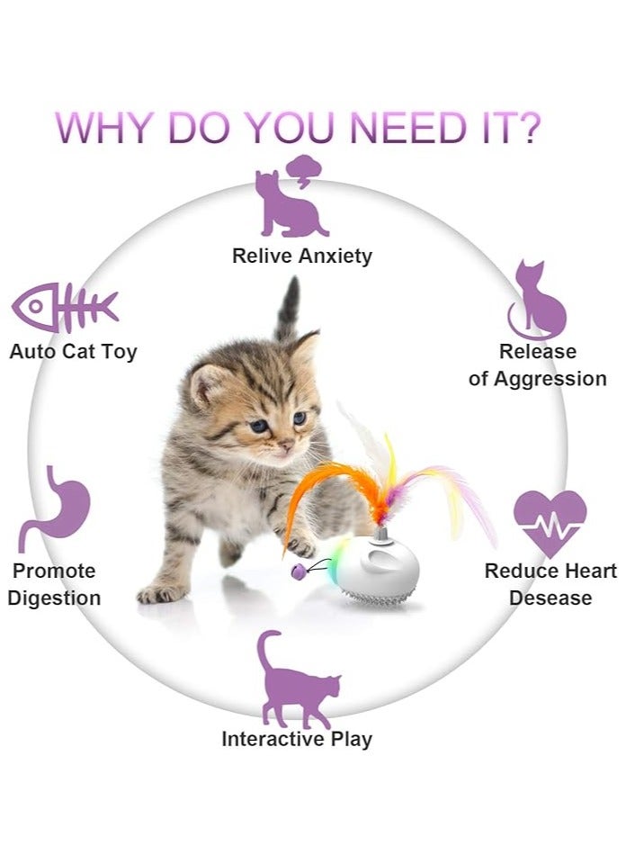 عام لعب القط داخلي التفاعلية ، التلقائي لعب القط الكهربائية مع الريش والأجراس ، أضواء ليد ، مزامنة و أوسب شحن اللعب للقطط / الكلاب - Image 2