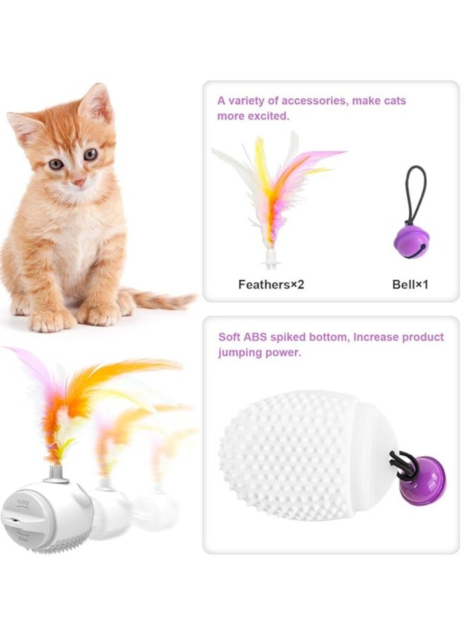 عام لعب القط داخلي التفاعلية ، التلقائي لعب القط الكهربائية مع الريش والأجراس ، أضواء ليد ، مزامنة و أوسب شحن اللعب للقطط / الكلاب - Image 3