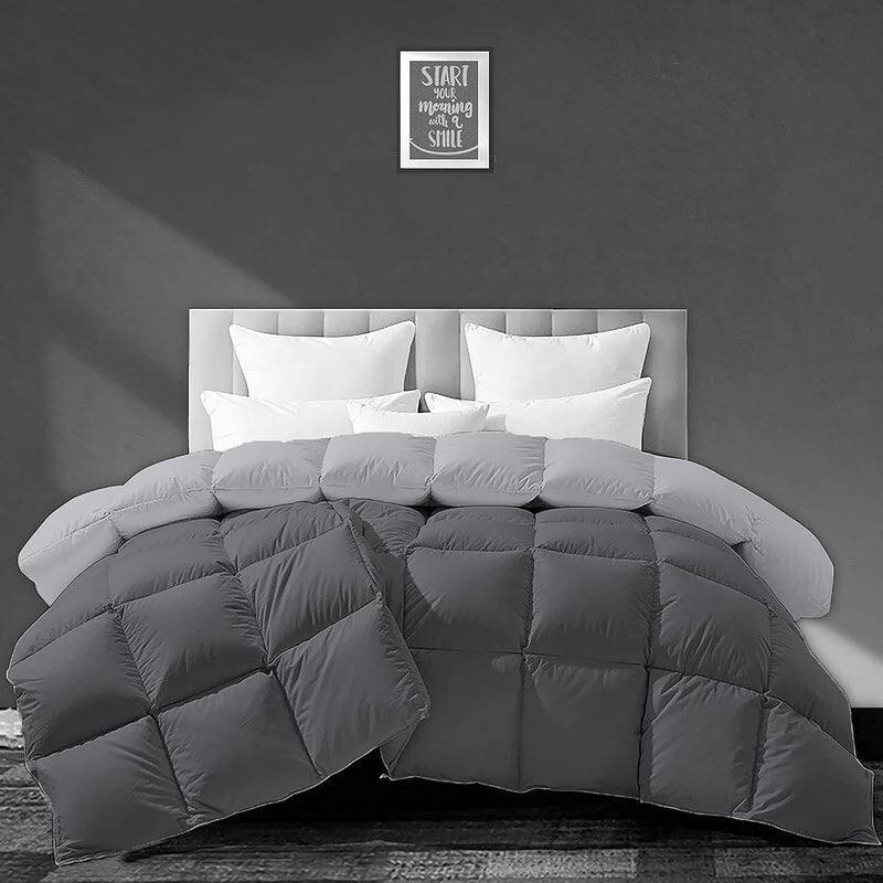 Filbert All Season 250 GSM Comforter Super Soft Fluffy Revesible Comforter 92 x 106 Inches233cm x 269cm King Size ComforterSilverDark Grey