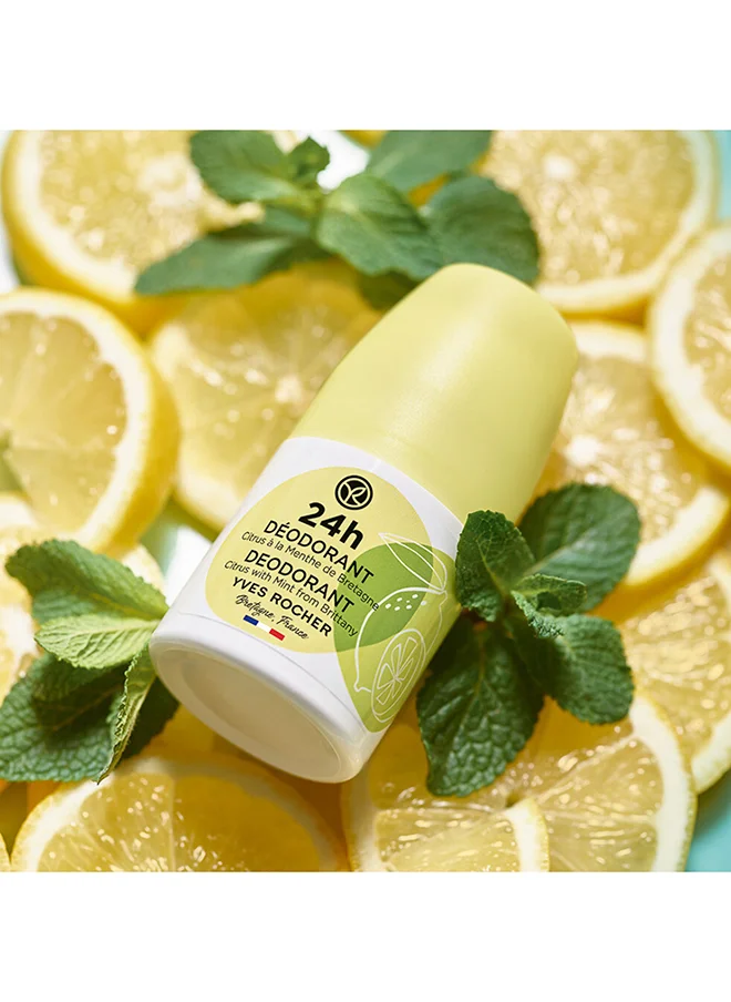ايف روشيه 24H Citrus With Mint Deo Roll On