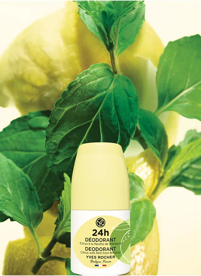 Yves Rocher 24H Citrus With Mint Deo Roll On