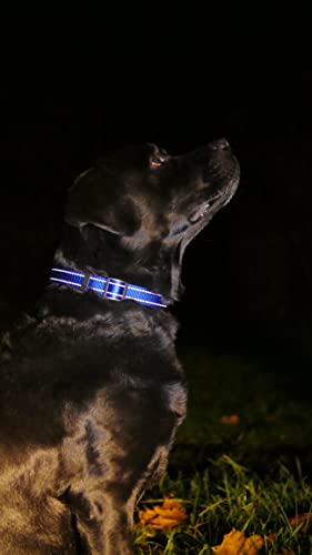 CollarDirect Reflective Dog Collar for a Small, Medium, Large Dog or Puppy with a Quick Release Buckle - Boy and Girl - Nylon Suitable for Swimming (10-13 Inch, Blue) - Image 3