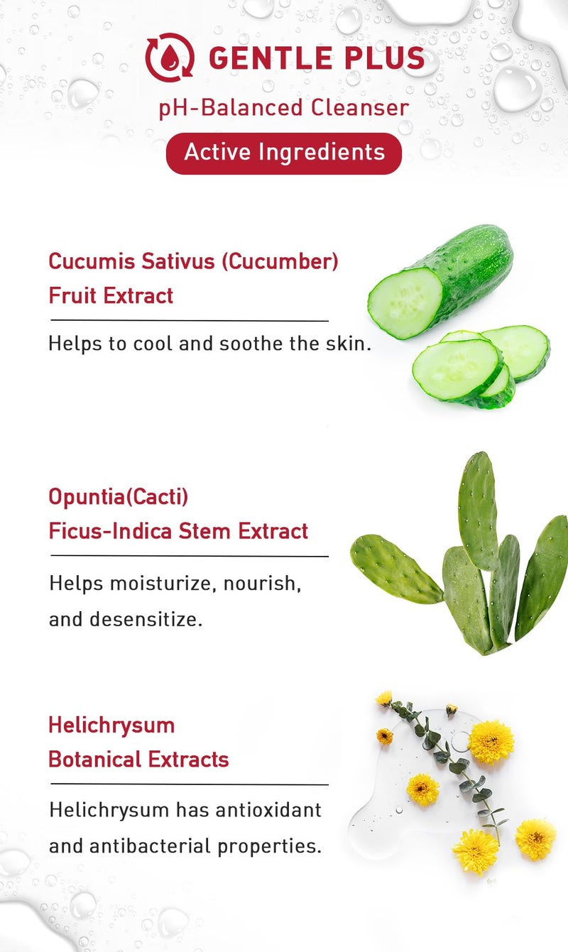 menorah Gentle Cleansing Mousse â€“ Hydrating pH-Balanced Face Wash with Cactus & Cucumber Extracts, Soothing Daily Cleanser for Sensitive & Dry Skin - Image 5