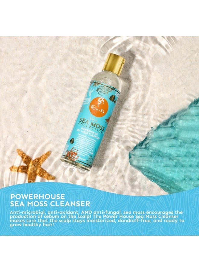 Curls شامبو Sea Moss Powerhouse لتنظيف الشعر وإزالة السموم بشكل طبيعي، يعزز صحة فروة الرأس ويمنع التلف والتراكم لجميع أنواع الشعر، 8 أونصات - Image 3