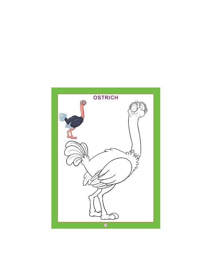 Flamingo 96 PAGES Birds (copy Colour Books) - Image 2