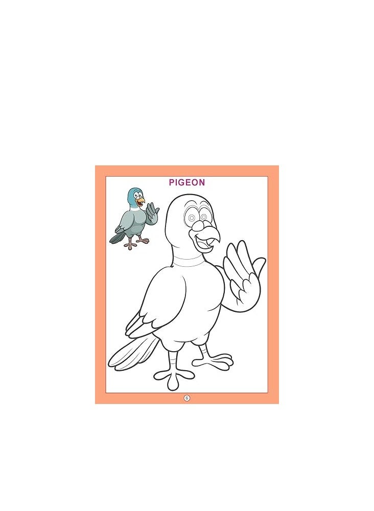 Flamingo 96 PAGES Birds (copy Colour Books) - Image 3