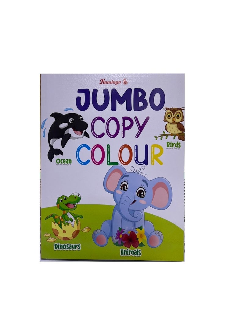 Flamingo 96 PAGES Birds (copy Colour Books) - Image 4