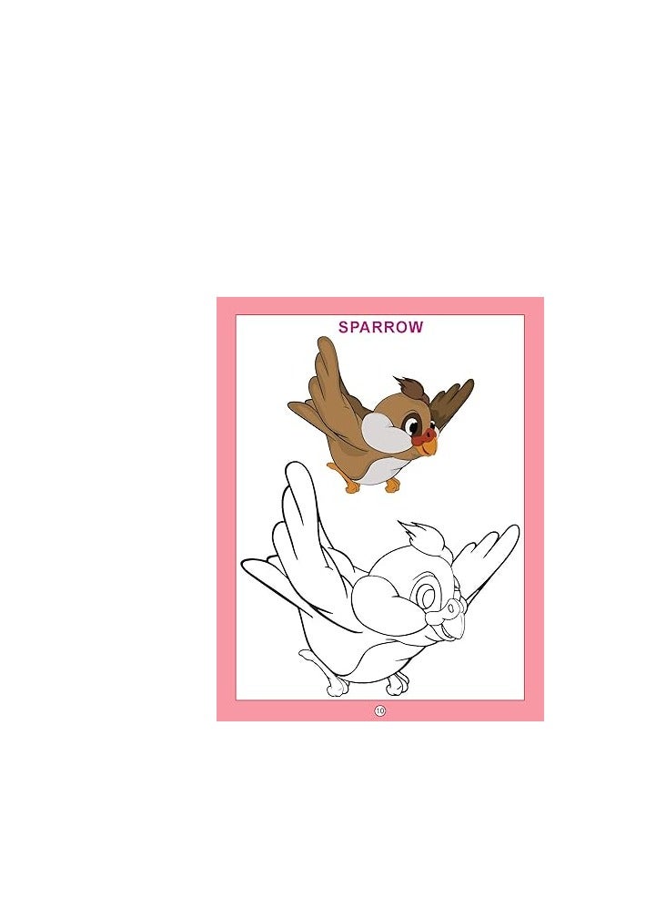 Flamingo 96 PAGES Birds (copy Colour Books) - Image 5