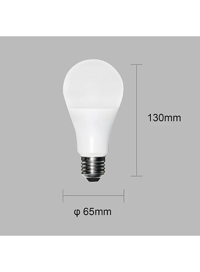 TOEFL Globe bulb, white light, 15 watt, E27 - Image 2