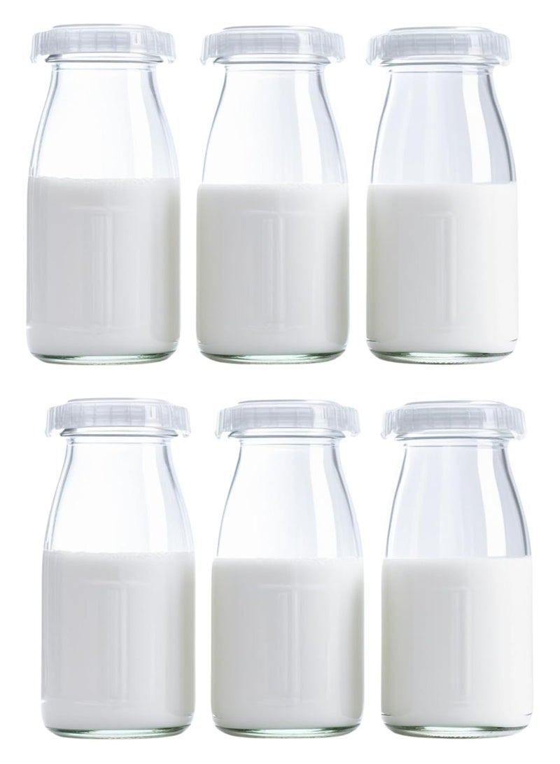 Luxoraq 200ml Glass Milk Bottle with White Lids, Reusable Juice Bottles, Dairy Drinking Containers, Small Glass Bottles for Milk, Juice, Yogurt, Smoothies, Honey, Tomato Sauce, Jam, Syrup (Pack of 6) - Image 1