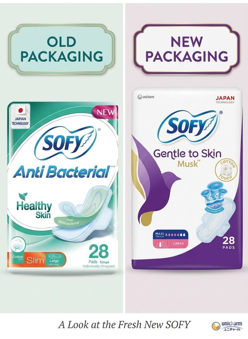 Sofy Anti-Bacterial Slim Large Cotthon Pads With Wings 28 Pads - Image 3