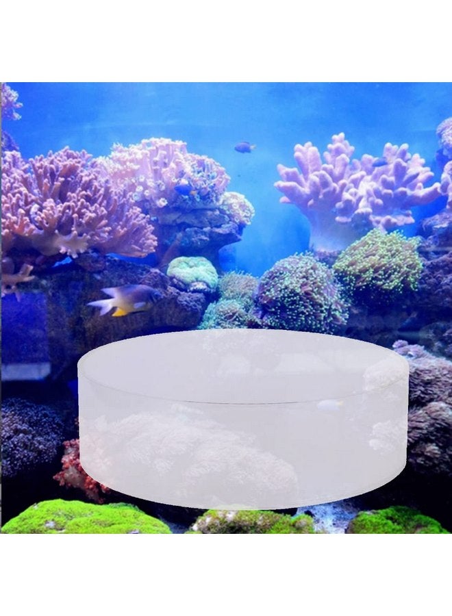 TOPINCN Aquarium Coral Viewer, Fish Acrylic Coral Observe Lense Aquarium Fish Photograph Cylinder Magnifier for Marine Aquarium Reef(150mm) - Image 3