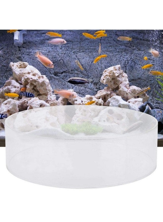 TOPINCN Aquarium Coral Viewer, Fish Acrylic Coral Observe Lense Aquarium Fish Photograph Cylinder Magnifier for Marine Aquarium Reef(150mm) - Image 4