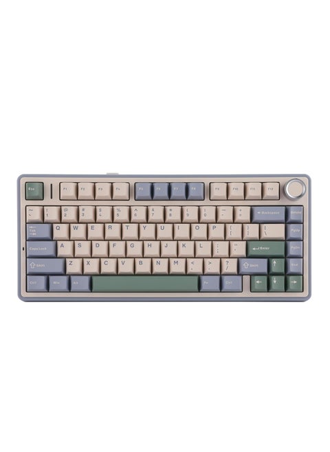 AULA F75 Gasket Mechanical Keyboard, 75% Wireless Hot Swappable Gaming Keyboard with Five-Layer Padding&Knob, Bluetooth/2.4GHz/USB-C, RGB (Green, LEOBOG Reaper Switch)