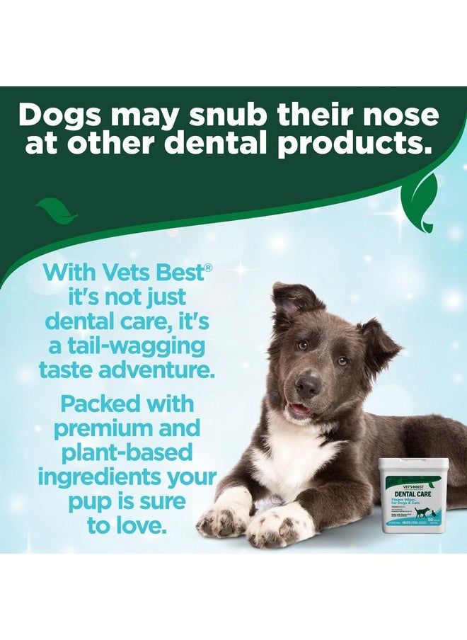 فيتس بيست مناديل تنظيف الأسنان من Vet's Best Dental Care - تقلل من تراكم البلاك والجير - تنعش النفس - مناديل تنظيف الأسنان بالأصابع للكلاب والقطط - 50 قطعة  - Image 4