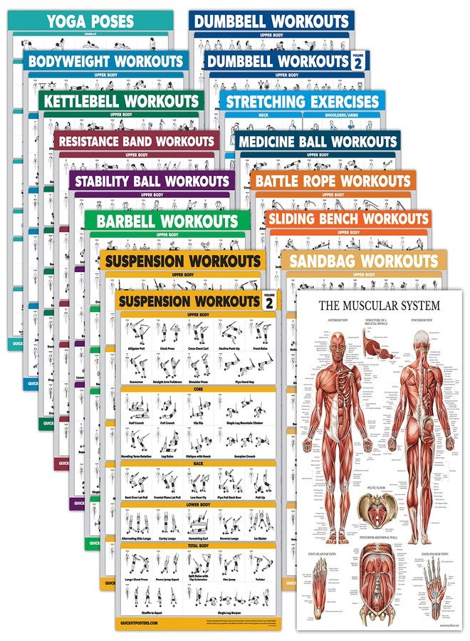Palace Learning 16 Pack - Exercise Poster Set, Dumbbell, Suspension, Kettlebell, Resistance Bands, Medicine Ball, Battle Rope, Stretching, Bodyweight, Barbell, Yoga, Exercise Ball, Muscular (LAMINATED, 18" x 24") - Image 1