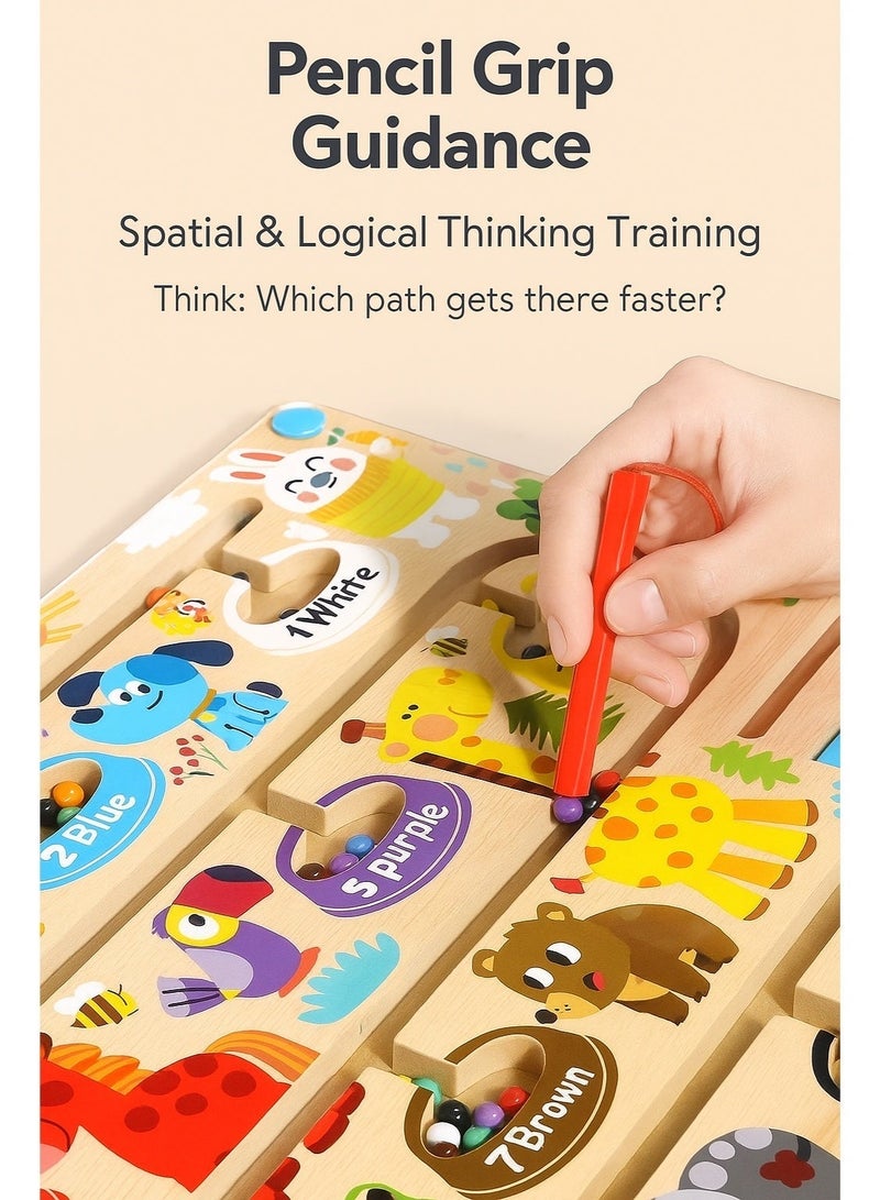 ألعاب هدايا للبنات من عمر 3 إلى 4 سنوات، ألعاب مونتيسوري للأطفال، متاهة مغناطيسية، ألوان وأرقام، ألعاب فرز الألوان، لعبة، هدية، ألعاب تعليمية للأطفال من عمر 3 إلى 4 سنوات، مونتيسوري - Image 2