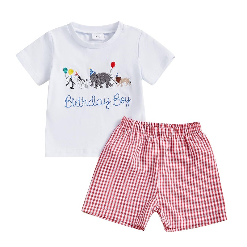 Mobbdow Toddler Baby Boy Birthday Outfit Birthday Boy Embroidery Short Sleeve T-Shirt and Gingham Plaid Shorts Set (White Red, 6-12 Months) - Image 1