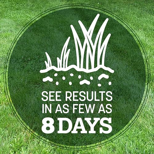Pennington Kentucky 31 Tall Fescue Grass Seed 20 lb - Image 4