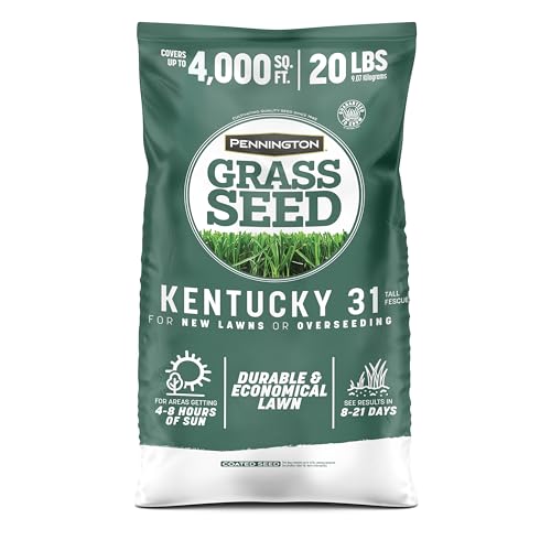 Pennington Kentucky 31 Tall Fescue Grass Seed 20 lb - Image 1
