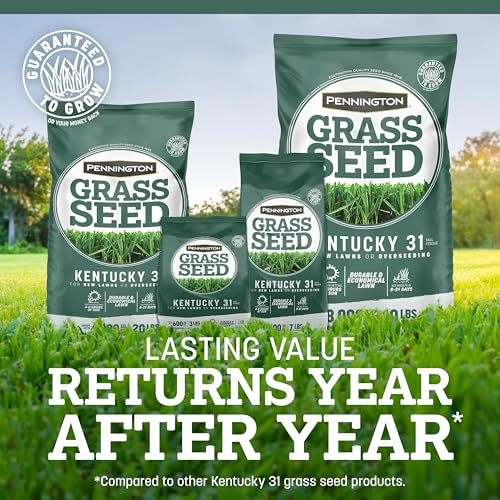 Pennington Kentucky 31 Tall Fescue Grass Seed 20 lb - Image 5