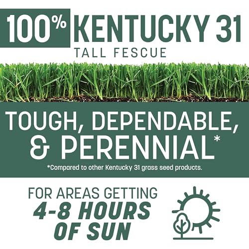 Pennington Kentucky 31 Tall Fescue Grass Seed 20 lb - Image 2