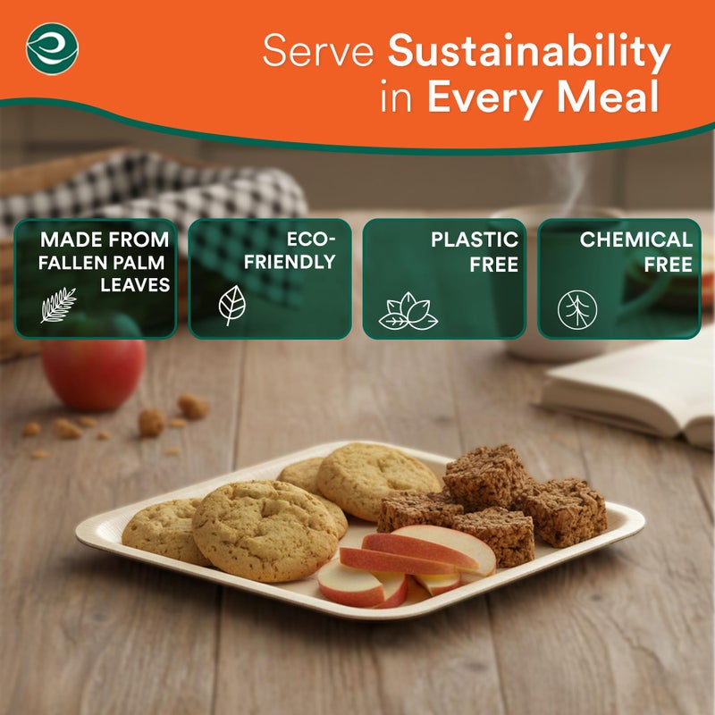 ECO SOUL 6 Inch Disposable Palm Leaf Plates [50 Pack] Premium Food-Safe Heavy Duty Compostable Bamboo Paper Plates for Dessert, Dinner, Appetizers, Weddings, Party, Camping & Catering Events [Square] - Image 3