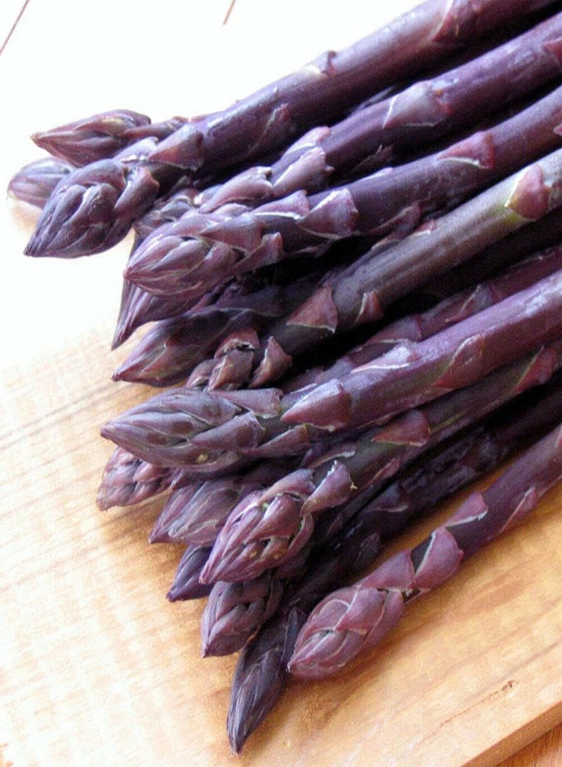 GGOOT Purple Asparagus Precoce D' Argentuil - Asparagus Officinalis 'Precoce D'Argentuil' Vegetable Seeds, Home Garden Planting by Heavy Torch, 15 Seeds