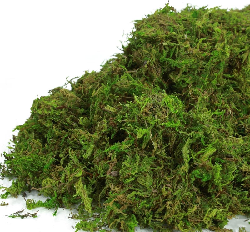 BYHER Craft Moss, 35OZ Fake Moss for Potted Plants Indoor, Artificial Moss for Faux Plant Fairy Garden Table Centerpieces Wedding Decor, 2.18 Pounds Fresh Green Moss - Image 4