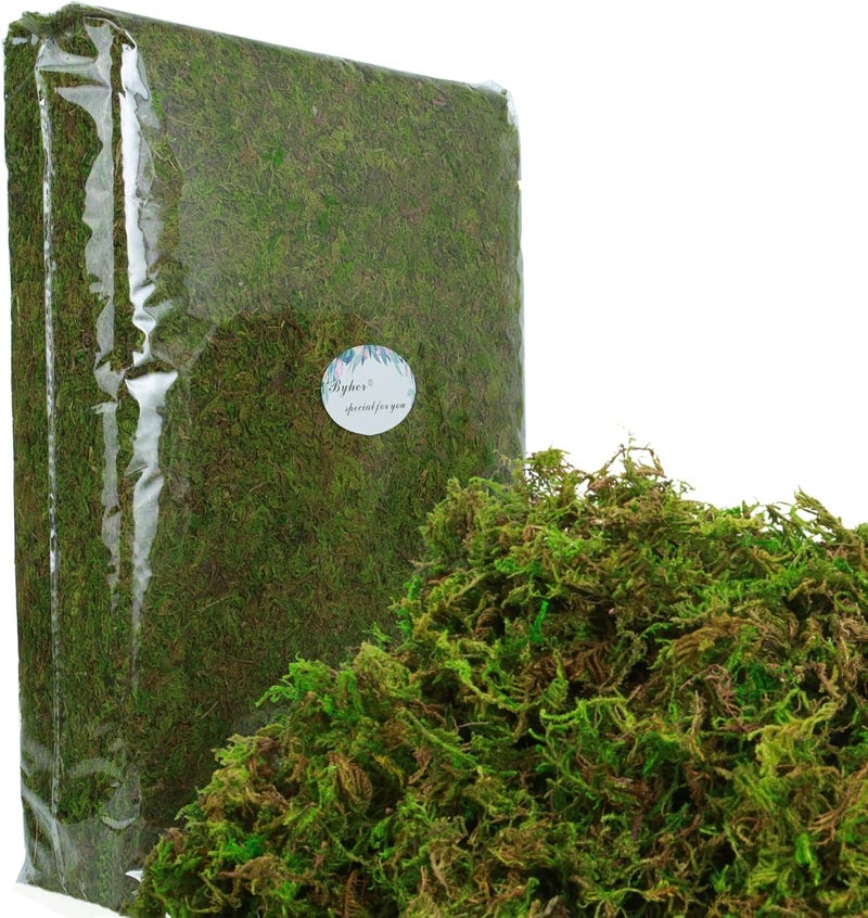 BYHER Craft Moss, 35OZ Fake Moss for Potted Plants Indoor, Artificial Moss for Faux Plant Fairy Garden Table Centerpieces Wedding Decor, 2.18 Pounds Fresh Green Moss - Image 2
