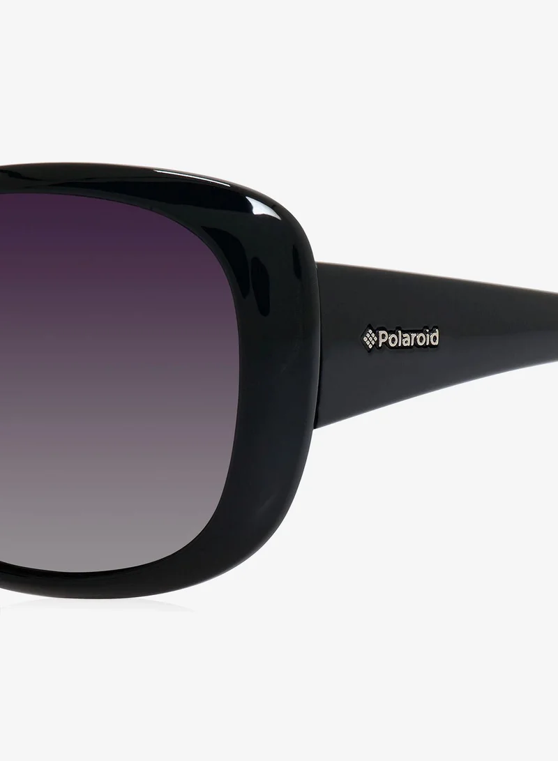 Polaroid  P8317 Sunglasses for Women | Best Price UAE