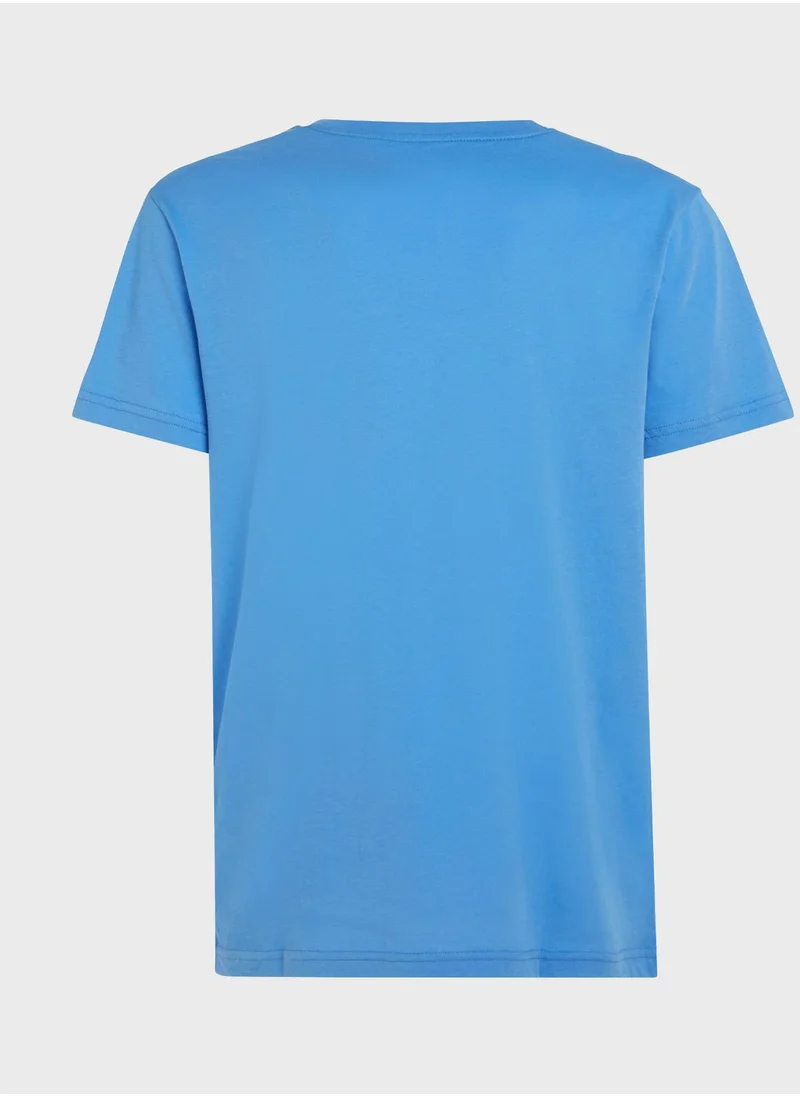 TOMMY HILFIGER Logo Crew Neck T-Shirt