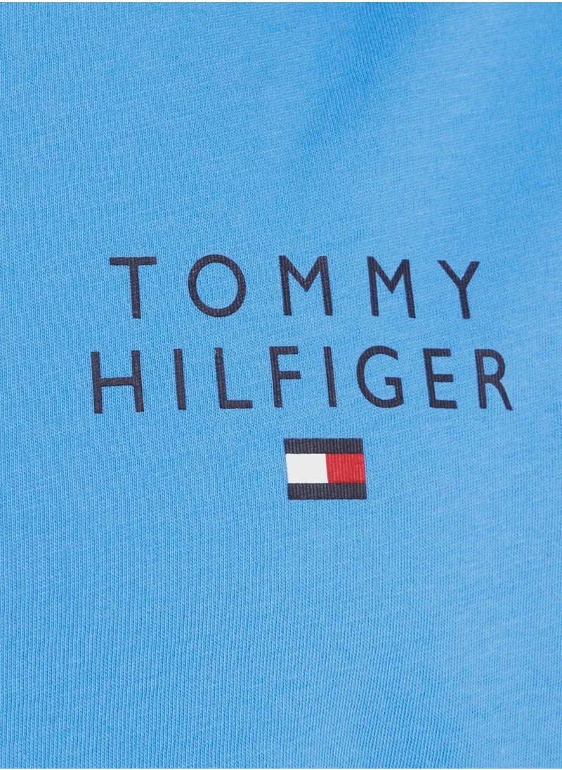TOMMY HILFIGER Logo Crew Neck T-Shirt