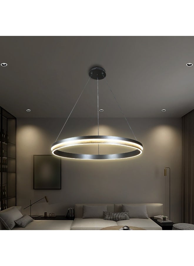 Hummer Modern gray ring hanger with 3 lights, 125 watts, 80 cm  - Image 2