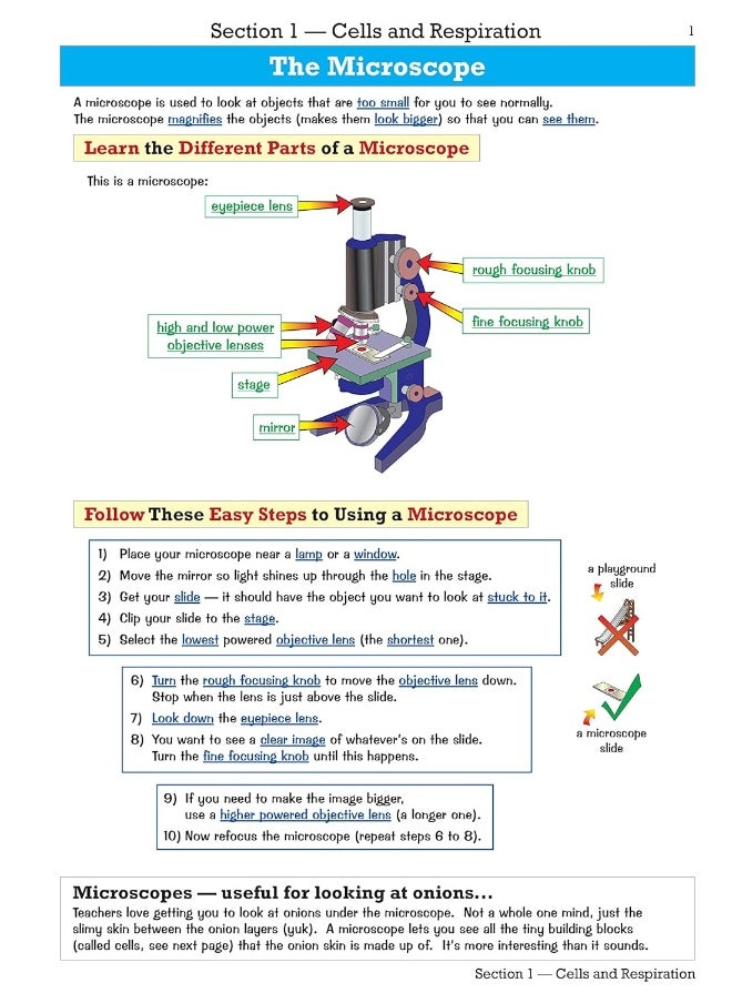 Ks3 Science Study Guide - Foundation