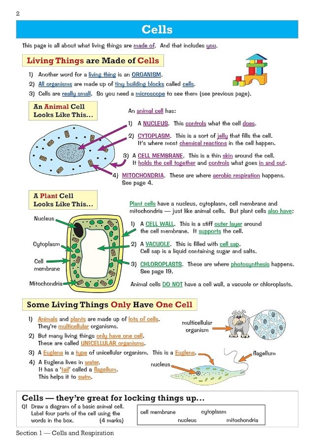 Ks3 Science Study Guide - Foundation