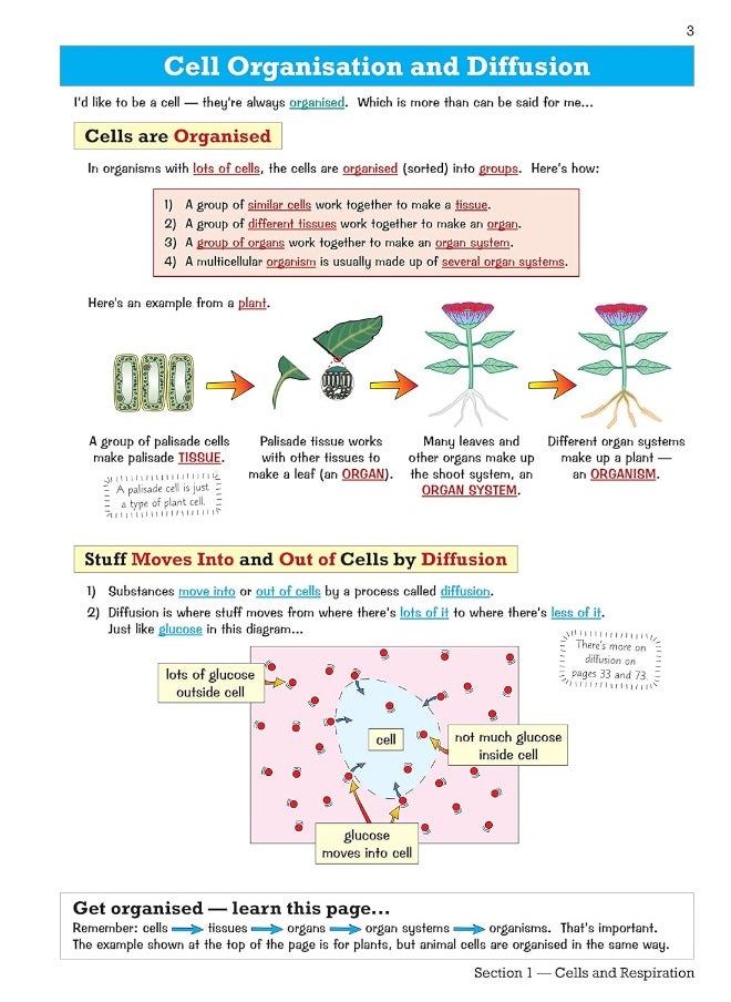 Ks3 Science Study Guide - Foundation