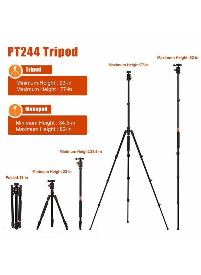 PHOPIK 77" Camera Tripod,Travel Tripod for DSLR,Professional Tripod with 360 Degree Ball Head,Camera Tripods & Monopods with Carry Bag for Camera, Ipad,Phone,Lightweight Load up to 17.6 Pounds  - Image 2