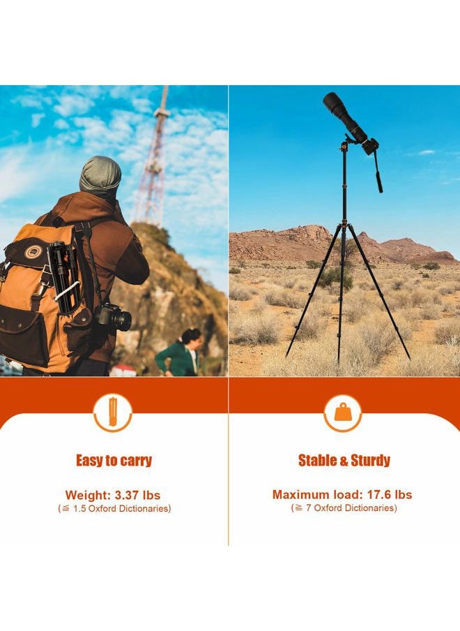 PHOPIK 77" Camera Tripod,Travel Tripod for DSLR,Professional Tripod with 360 Degree Ball Head,Camera Tripods & Monopods with Carry Bag for Camera, Ipad,Phone,Lightweight Load up to 17.6 Pounds  - Image 3
