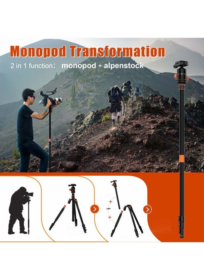 PHOPIK 77" Camera Tripod,Travel Tripod for DSLR,Professional Tripod with 360 Degree Ball Head,Camera Tripods & Monopods with Carry Bag for Camera, Ipad,Phone,Lightweight Load up to 17.6 Pounds  - Image 4