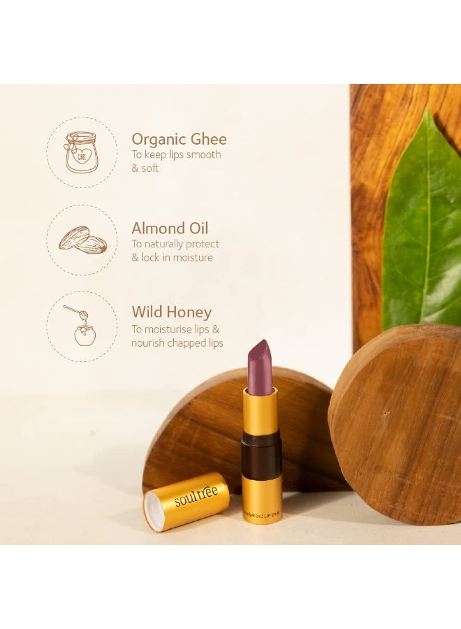سول تري أحمر شفاه SoulTree Ayurvedic - لون "Iced Plum" (520)، 4 غرام | قوام كريمي | غني بالسمن العضوي وزيت اللوز | لشفاه مرطبة ومغذّاة | 4 غرام - Image 2