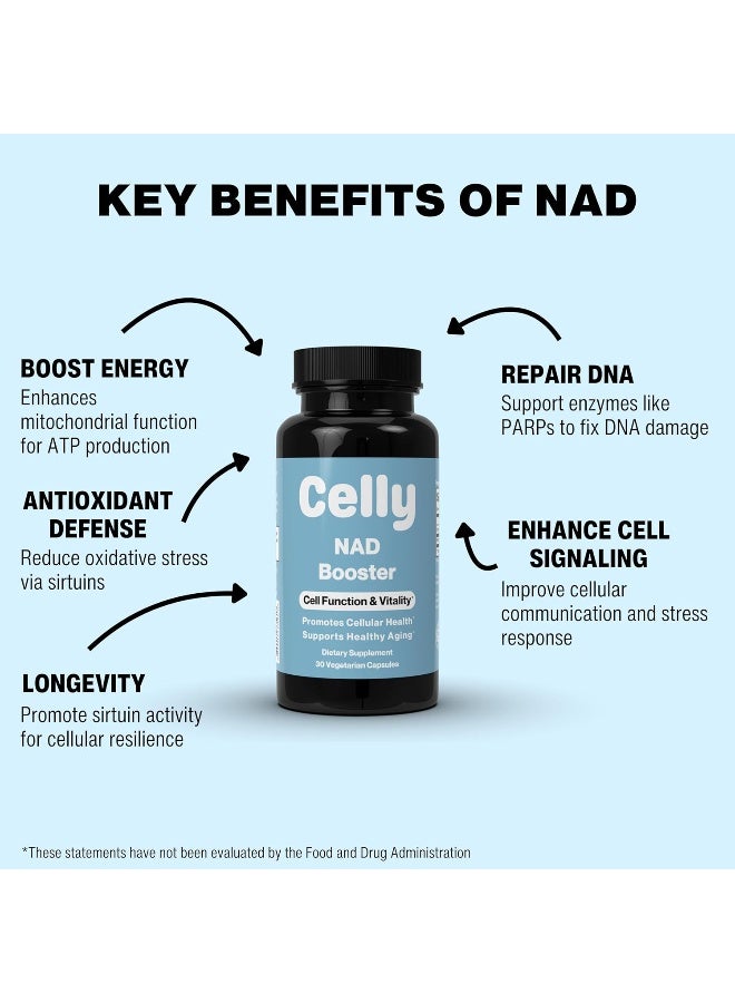 Celly NAD Booster Dietary Supplement for Adults - Image 3
