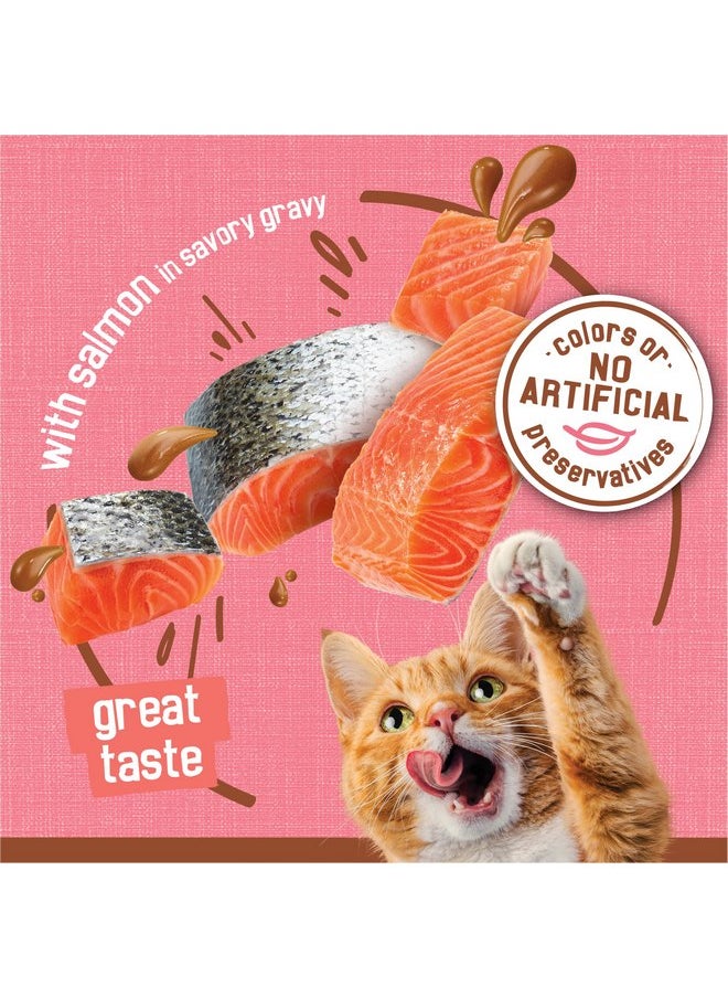 فريسكس طعام القطط الرطب Purina Friskies Extra Gravy Chunky مع سمك السلمون في صلصة لذيذة - (عبوة من 24 علبة) 5.5 أونصة  - Image 2