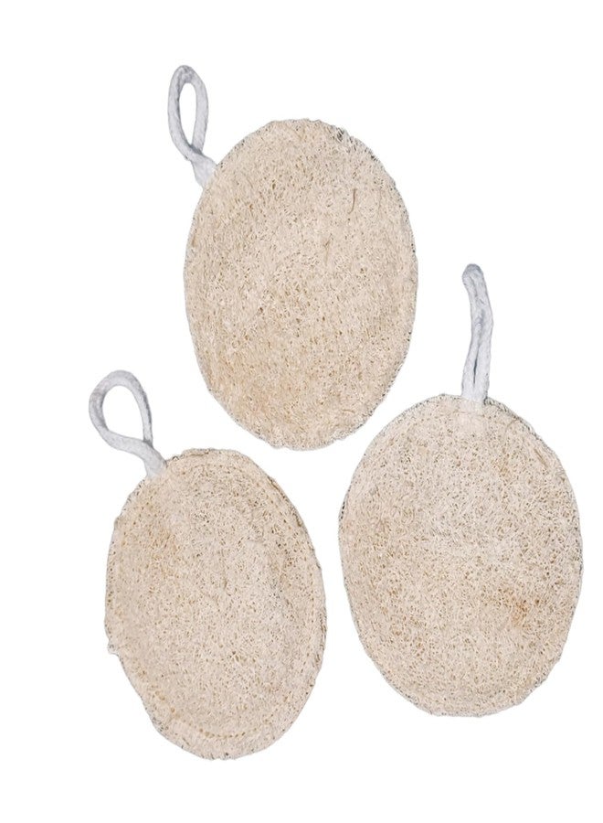 Eco Gree Natural Loofah for Bath & Body Scrub | 100% Plant-Based Exfoliating Sponge for Men & Women | Skin-Friendly, Chemical-Free Luffa | Eco-Friendly & Biodegradable (Round Loofah, Pack of 3) - Image 2